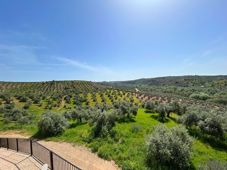 Landejendom i Montoro, Cordoba - foto 2